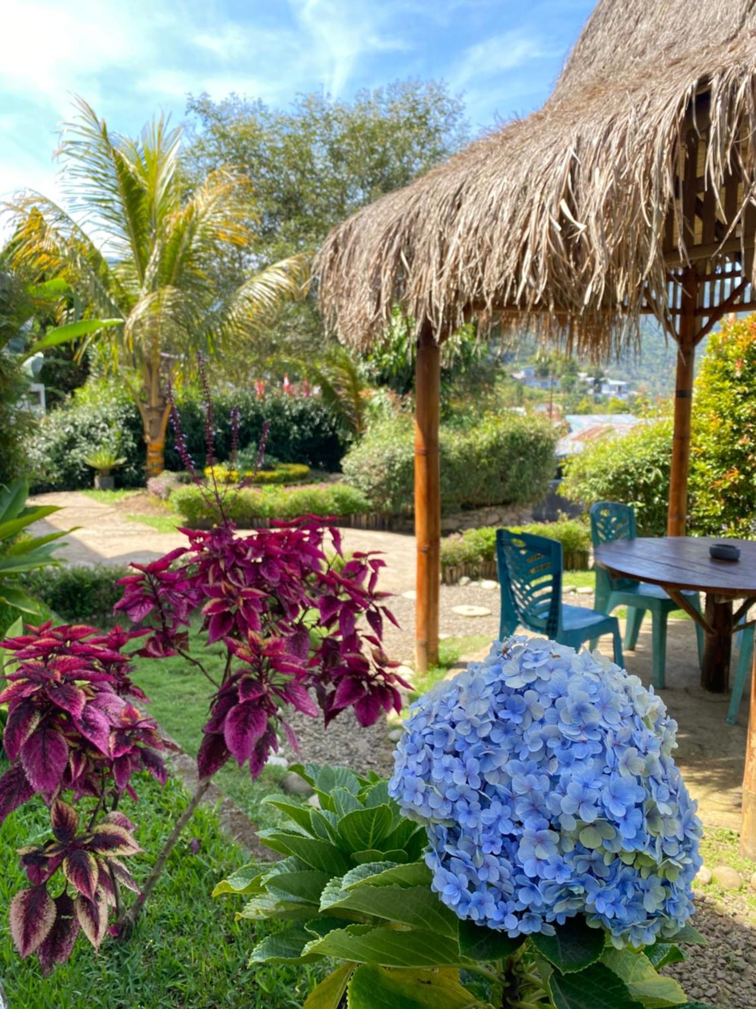 Mahoni Guest House Kelimutu Exterior photo